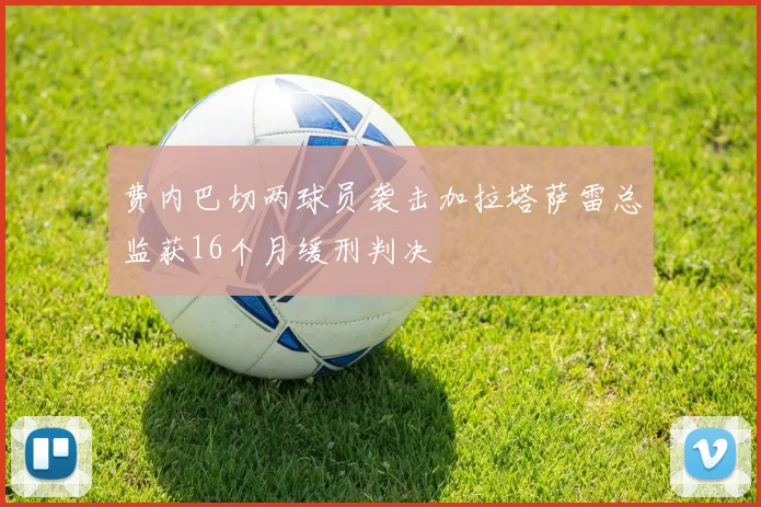 费内巴切两球员袭击加拉塔萨雷总监获16个月缓刑判决