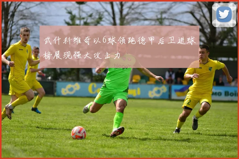 武什科维奇以6球领跑德甲后卫进球榜展现强大攻击力