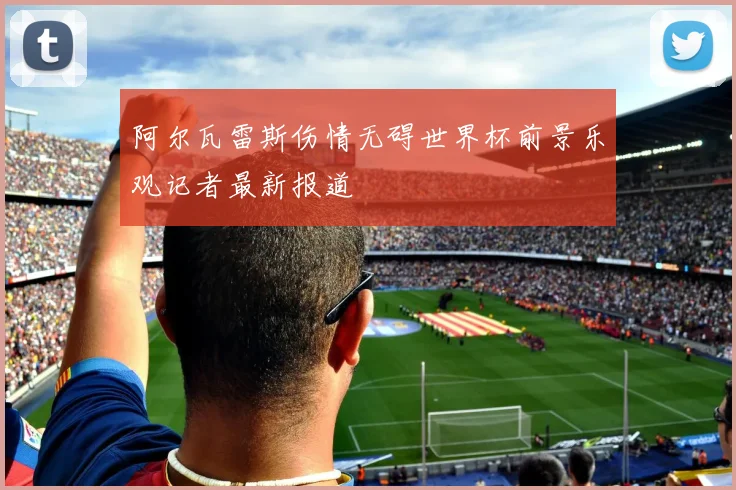 阿尔瓦雷斯伤情无碍世界杯前景乐观记者最新报道
